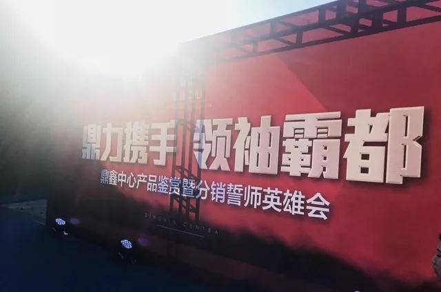 鼎力攜手，領(lǐng)袖霸都！合肥鼎鑫中心產(chǎn)品鑒賞暨分銷誓師英雄會圓滿落幕！
